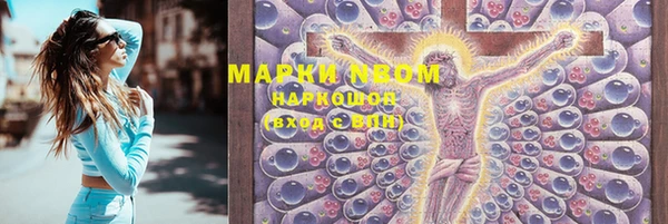 мяу мяу мука Аркадак