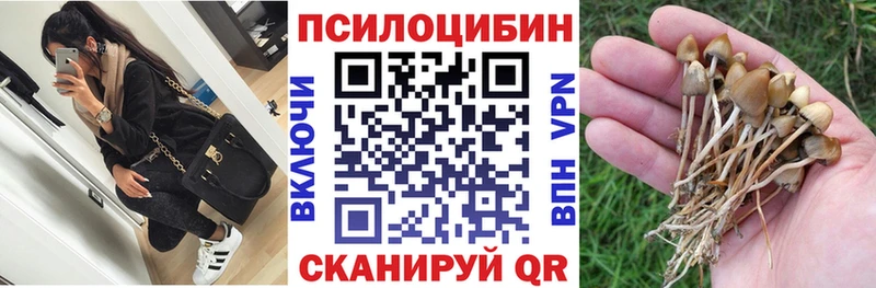 Галлюциногенные грибы GOLDEN TEACHER  Новая Ладога 