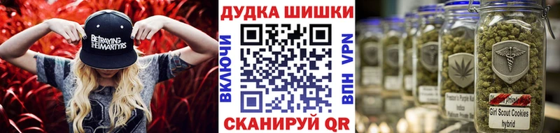купить  сайты  Новая Ладога  Конопля Amnesia 